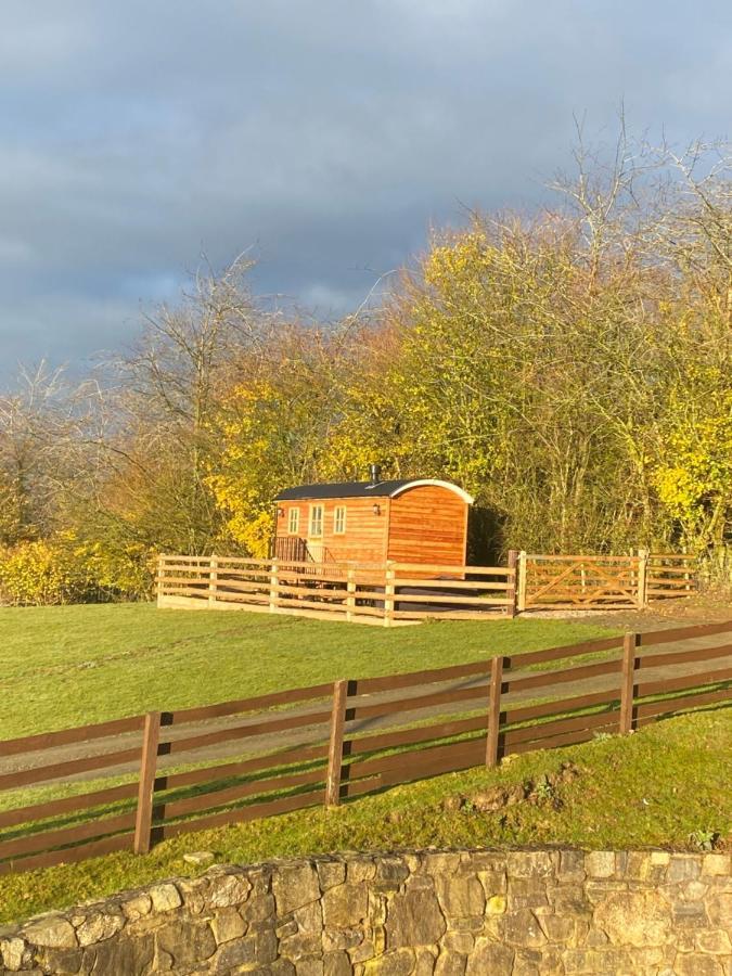 The Snug At Coed Y Gaer Villa Oswestry Eksteriør billede